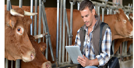 Farm Processing Applications