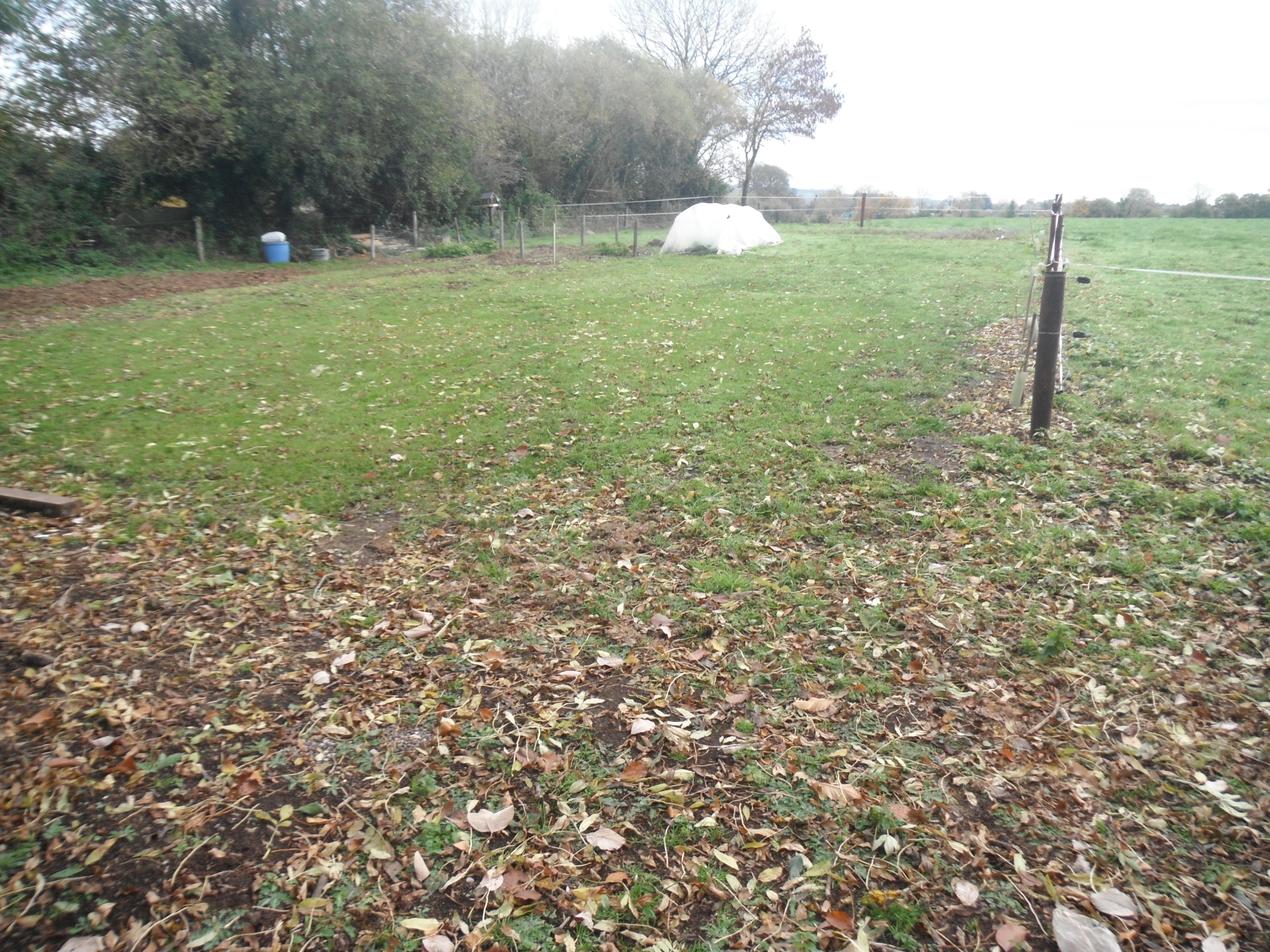 greenspace