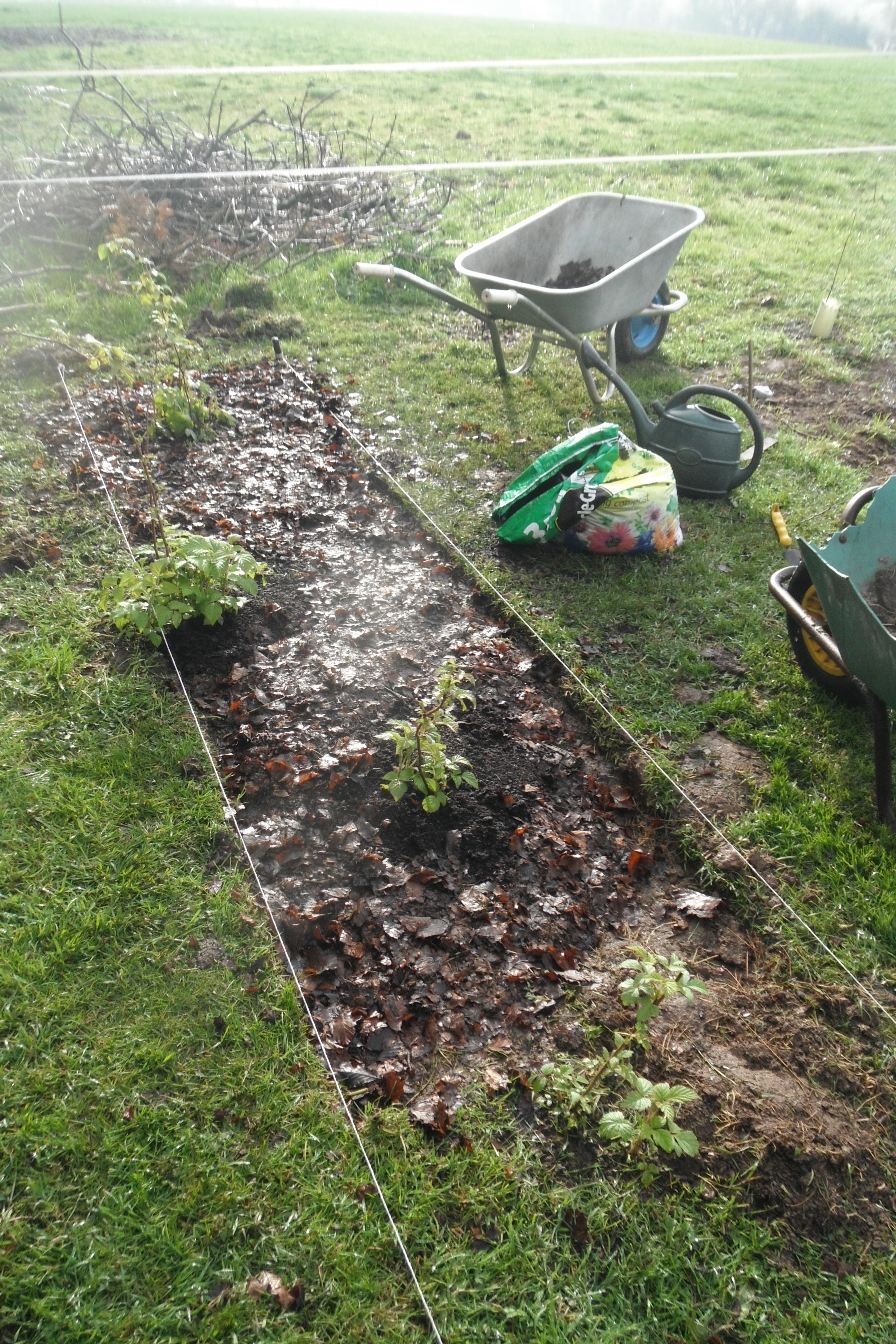 Raspberry Allotment